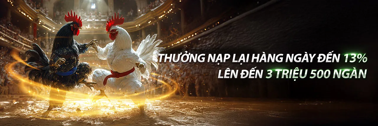 Suncity888 Khuyến Mãi Độc Quyền